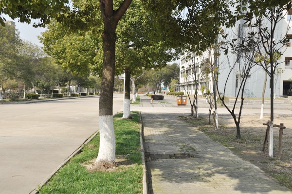 中職高職學校 中職高職學校